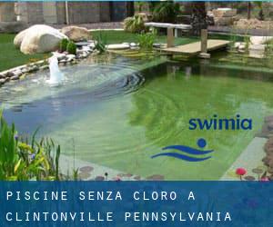 Piscine Senza cloro a Clintonville (Pennsylvania)