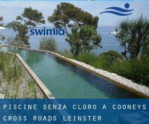 Piscine Senza cloro a Cooneys Cross Roads (Leinster)