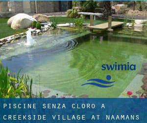 Piscine Senza cloro a Creekside Village at Naamans