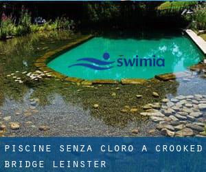 Piscine Senza cloro a Crooked Bridge (Leinster)