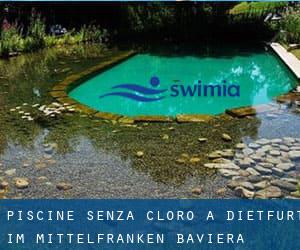 Piscine Senza cloro a Dietfurt im Mittelfranken (Baviera)