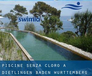 Piscine Senza cloro a Dietlingen (Baden-Württemberg)