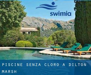 Piscine Senza cloro a Dilton Marsh