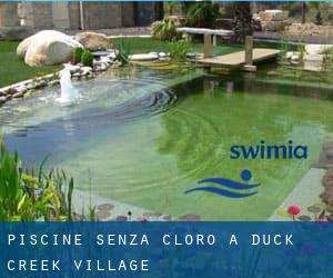 Piscine Senza cloro a Duck Creek Village