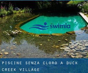 Piscine Senza cloro a Duck Creek Village