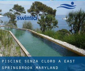 Piscine Senza cloro a East Springbrook (Maryland)