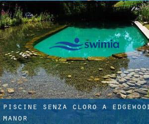 Piscine Senza cloro a Edgewood Manor