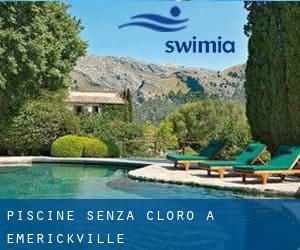 Piscine Senza cloro a Emerickville