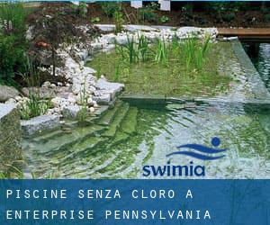 Piscine Senza cloro a Enterprise (Pennsylvania)