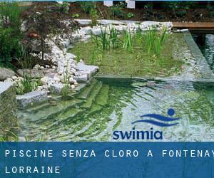 Piscine Senza cloro a Fontenay (Lorraine)