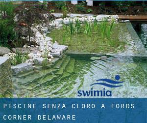 Piscine Senza cloro a Fords Corner (Delaware)