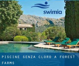 Piscine Senza cloro a Forest Farms