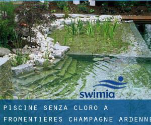 Piscine Senza cloro a Fromentières (Champagne-Ardenne)