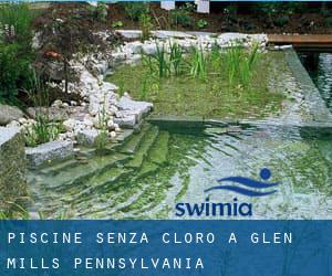 Piscine Senza cloro a Glen Mills (Pennsylvania)