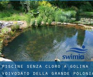 Piscine Senza cloro a Golina (Voivodato della Grande Polonia)