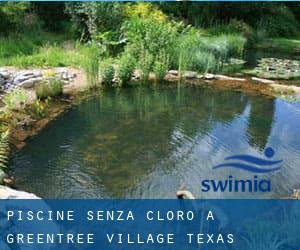 Piscine Senza cloro a Greentree Village (Texas)