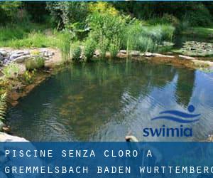 Piscine Senza cloro a Gremmelsbach (Baden-Württemberg)