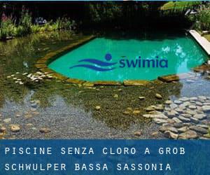 Piscine Senza cloro a Groß Schwülper (Bassa Sassonia)