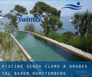 Piscine Senza cloro a Großes Tal (Baden-Württemberg)