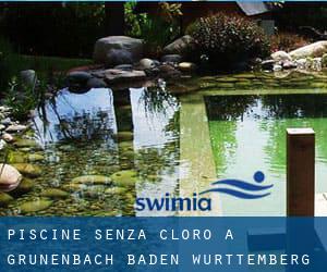 Piscine Senza cloro a Grünenbach (Baden-Württemberg)