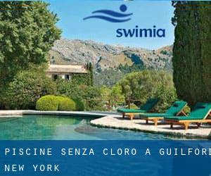 Piscine Senza cloro a Guilford (New York)