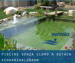 Piscine Senza cloro a Gutach (Schwarzwaldbahn)