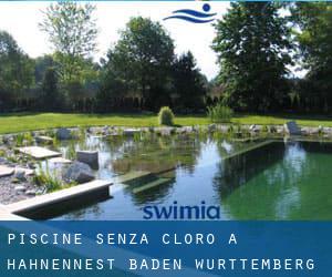 Piscine Senza cloro a Hahnennest (Baden-Württemberg)