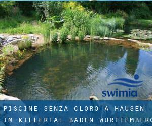 Piscine Senza cloro a Hausen im Killertal (Baden-Württemberg)