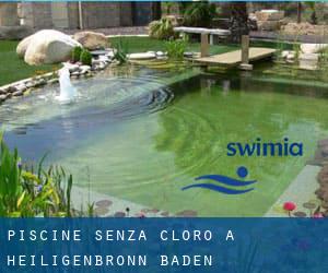 Piscine Senza cloro a Heiligenbronn (Baden-Württemberg)