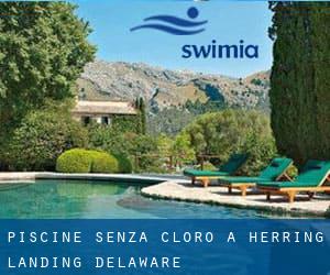 Piscine Senza cloro a Herring Landing (Delaware)