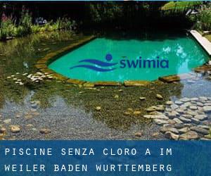 Piscine Senza cloro a Im Weiler (Baden-Württemberg)