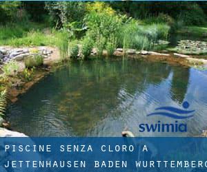 Piscine Senza cloro a Jettenhausen (Baden-Württemberg)