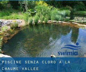 Piscine Senza cloro a La Chaume-Vallée