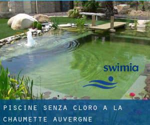 Piscine Senza cloro a La Chaumette (Auvergne)