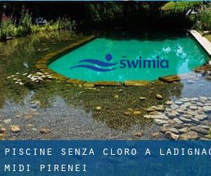 Piscine Senza cloro a Ladignac (Midi-Pirenei)