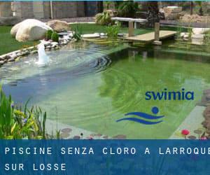 Piscine Senza cloro a Larroque-sur-l'Osse