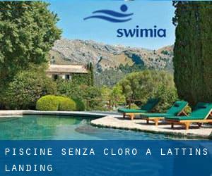 Piscine Senza cloro a Lattins Landing