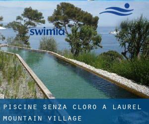 Piscine Senza cloro a Laurel Mountain Village