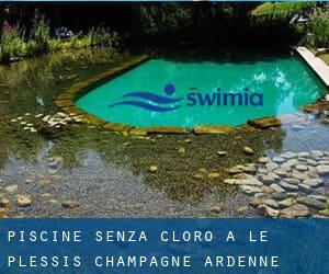 Piscine Senza cloro a Le Plessis (Champagne-Ardenne)