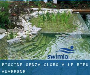 Piscine Senza cloro a Le Rieu (Auvergne)