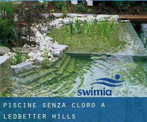 Piscine Senza cloro a Ledbetter Hills