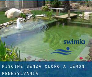 Piscine Senza cloro a Lemon (Pennsylvania)