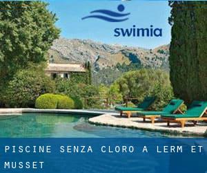 Piscine Senza cloro a Lerm-et-Musset