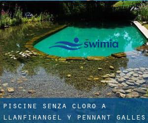 Piscine Senza cloro a Llanfihangel-y-Pennant (Galles)