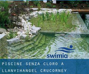 Piscine Senza cloro a Llanvihangel Crucorney