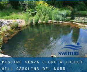 Piscine Senza cloro a Locust Hill (Carolina del Nord)