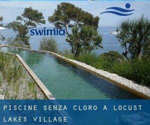 Piscine Senza cloro a Locust Lakes Village