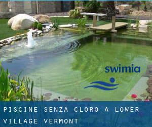 Piscine Senza cloro a Lower Village (Vermont)