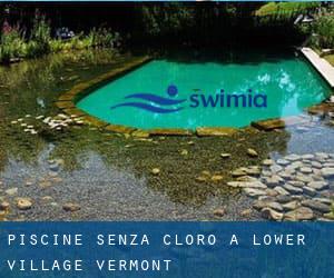 Piscine Senza cloro a Lower Village (Vermont)