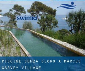 Piscine Senza cloro a Marcus Garvey Village